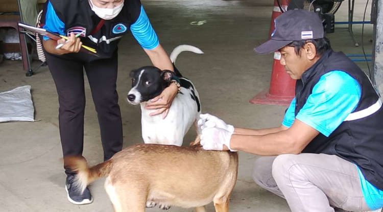 องค์การบริหารส่วนตำบลประสุข ได้ออกบริการ ฉีดวัคซีน สุนัขและแมวในเขตตำบลประสุข  จำนวน 21 หมู่บ้าน