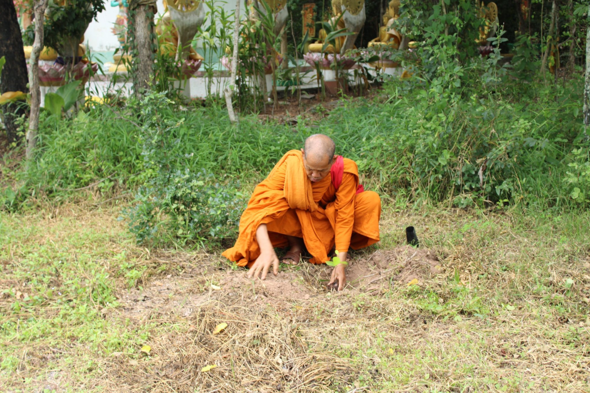 โครงการอนุรักษ์พันธุกรรมพืชอันเนื่องมาจากพระราชดำริฯ (สพ.สธ.)  ประจำปีงบประมาณ 2568